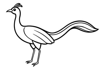 Lunara bird line art white background 