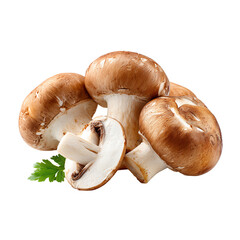 Fototapeta premium Fresh brown mushrooms with parsley on a white isolated background.