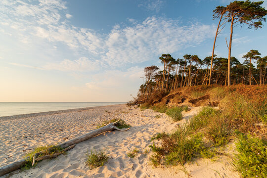 Westrand Halbinsel Dar&szlig;