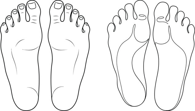 Bare Feet Soles Outline Line Art Foot Anatomy Bottom View