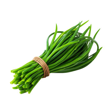 Fresh green chives bundled together, vibrant and aromatic, isolated on a white background.