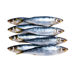 Fresh sardines arranged on a white isolated background, perfect for culinary presentations or seafood-themed graphics.