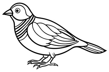 Aurelia bird line art white background 