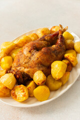 A beautifully presented dish features a whole baked rabbit surrounded by tender, golden-roasted potatoes. This comforting meal is perfect for family gatherings or special occasions.