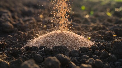 Fertilizer being poured on dark soil.