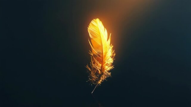 Video A single yellow feather sits atop a dark background, perfect for use in designs needing a pop of color