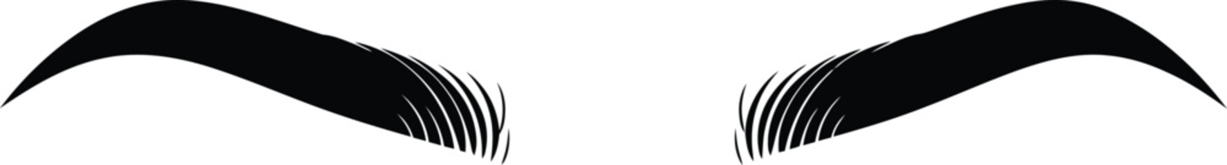 Close up view of dark arched eyebrows against a plain white background