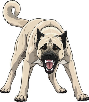 Kangal Shepherd Dog alert aggressive barking guarding stance