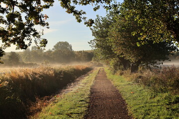 Frühdunst in den Feldern von Boltenhagen	
