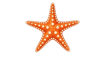 Vibrant orange starfish illustration detailed marine life vector art Isolated sea creature for ocean themes beach