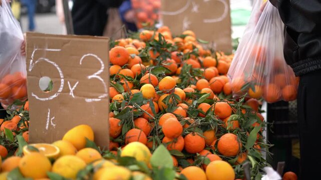 Fresh mandarins with leaves at outdoor farmers market stall