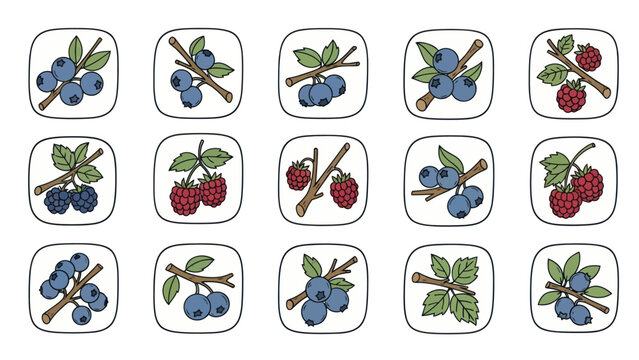 Fresh berries vector illustrations blueberries and raspberries with leaves