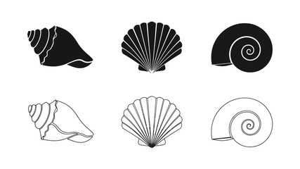 A collection of various shell illustrations in black and white outlines © HN2.00