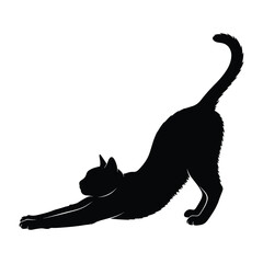 Black cat stretching its body in a dramatic silhouette pose