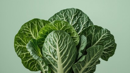 Obraz premium Fresh green leafy vegetables, possibly collard greens or kale, with visible veins and a vibrant appearance. Healthy produce, food, and nutrition.