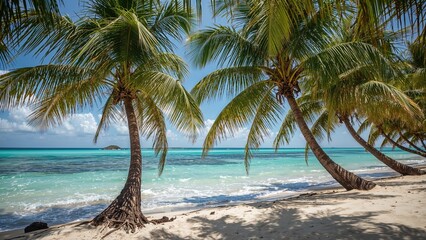 Tropical beach scene with palm trees, clear ocean water, and sandy shore. Relaxing and scenic coastal environment.