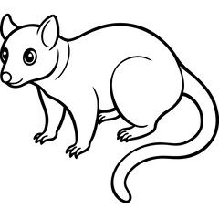 Cuscus Animal Vector Silhouette