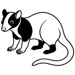Cuscus Animal Vector Silhouette
