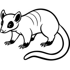 Cuscus Animal Vector Silhouette