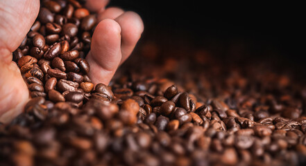 Hand holding roasted coffee beans closeup macro