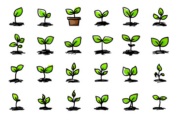Illustration of collection of various green plant seedlings in different stages of growth on transparent background