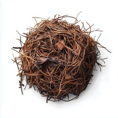 Pile of dry pine needles isolated on white background.