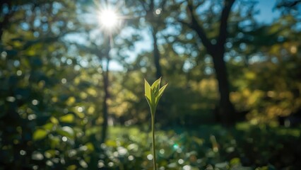 Obraz premium Young plant growing amid sunlight and trees, symbolizing growth and new beginnings in nature in 2042.