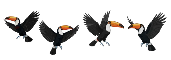 Selbstklebende Fototapeten Tukan Toco Toucan Ramphastos toco isolated on white flying bird wildlife nature animal wings spread plumage orange beak fauna tropical avian photography cutout set high-resolution graphic element sharp  © moqddam