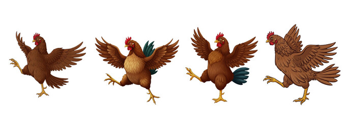 Set Of Chicken (Hen) isolated on white background, (Gallus gallus domesticus)  Hen PNG