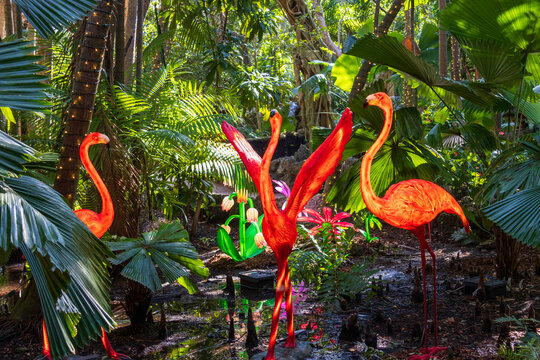 A gorgeous landscape at Pinecrest Gardens in Pinecrest  Florida USA