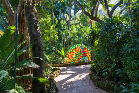 A gorgeous landscape at Pinecrest Gardens in Pinecrest  Florida USA