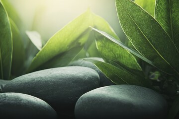 Fototapeta premium Stones and green leaves in natural setting with soft light during late afternoon outdoors near a garden