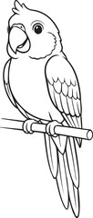 Parrot drawn with gentle smooth minimal bird character details in clean line art one line art