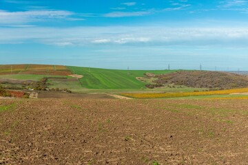 a hill of an ancient settlement, covered with low forest and shrubs, surrounded by green fields plowed for winter and vineyards with yellowed leaves on a sunny autumn day