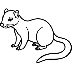 Dwarf Mongoose Line Art Vector Illustration on White Background