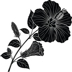 Hibiscus Flower Botanical Silhouette Illustration