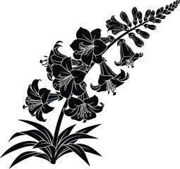 Floral Botanical Plant Illustration Vector