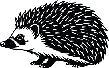 Hedgehog Wildlife Animal Illustration Vector