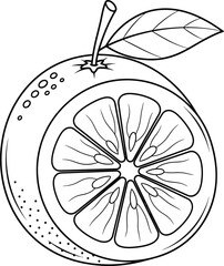 Orange Citrus Fruit Slice Vector Illustration