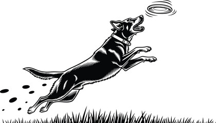Dog Jumping To Catch Frisbee Vector Illustration