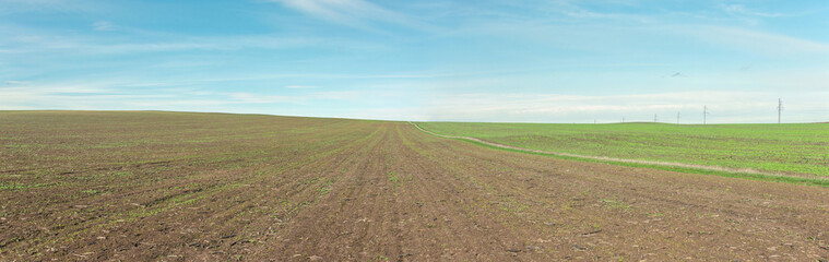 A panorama of a plowed field with green grass sprouting in places and the barely visible mounds of ancient burial mounds in the south of Russia on a sunny autumn day