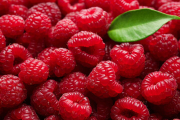 Fresh ripe raspberries and leaf as background, closeup
