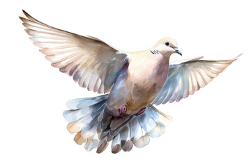 Obraz premium Flying Dove hand drawn watercolor bird of peace