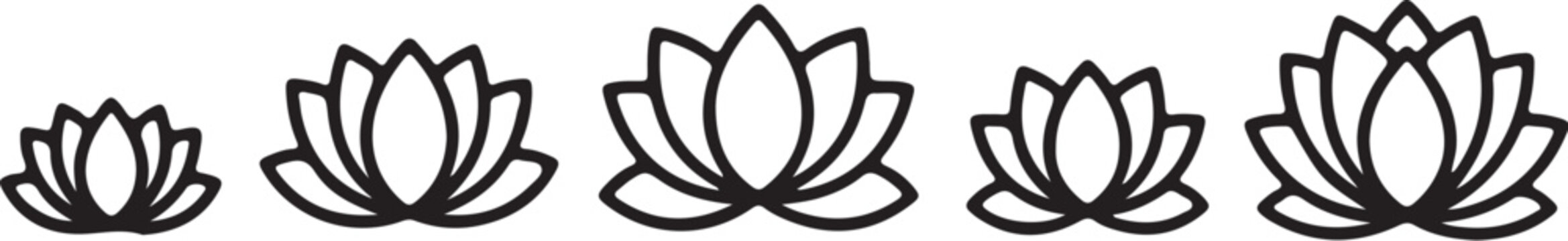 Lotus flower of varying sizes bloom blossom also transparent background