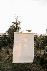 beiger Studiohintergrund in freier Natur