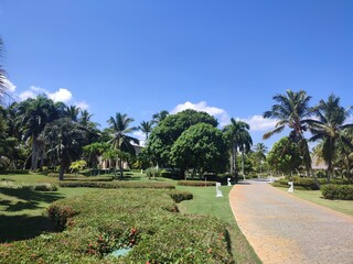 Obraz premium tropical park