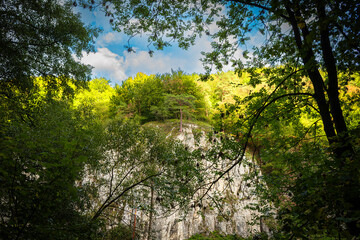 Sunlight illuminates a rocky forest hill through dense tree branches. Natural contrast of light and shadow, peaceful woodland atmosphere, and scenic outdoor environment.