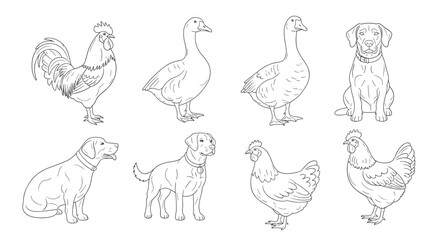 Illustrations of farm animals in black and white.