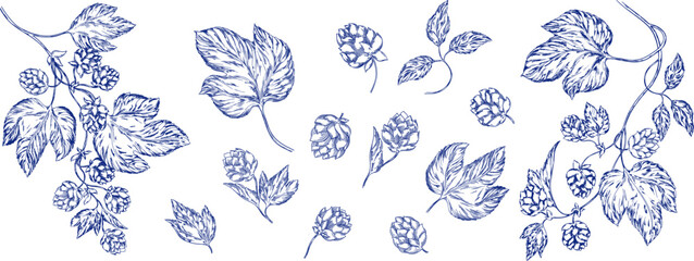 Watercolor banner set toile de jouy featuring hop branches with cones and leaves, ideal for beer branding, brewing presentations, brewery ads, or botanical and floral themed designs. Floral, leaves.