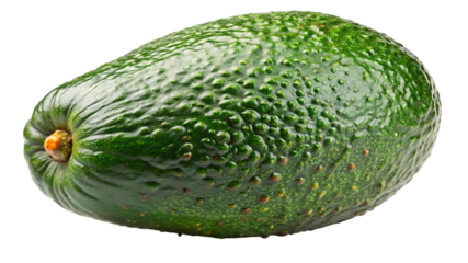 A whole, fresh green avocado with textured skin on a contrasting transparent background